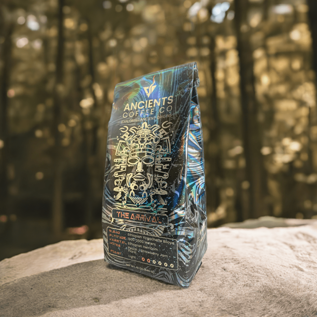 The Arrival - Ethiopian Yirgacheffe - Ancients Coffee Co
